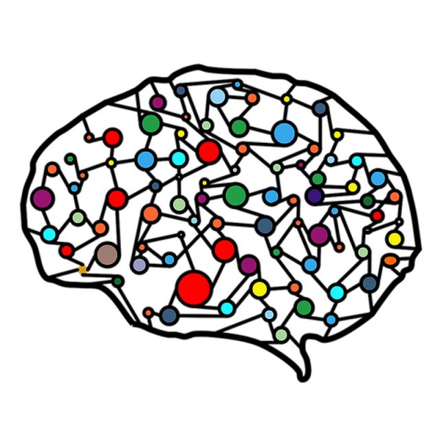 illustration of brain from pixaby
