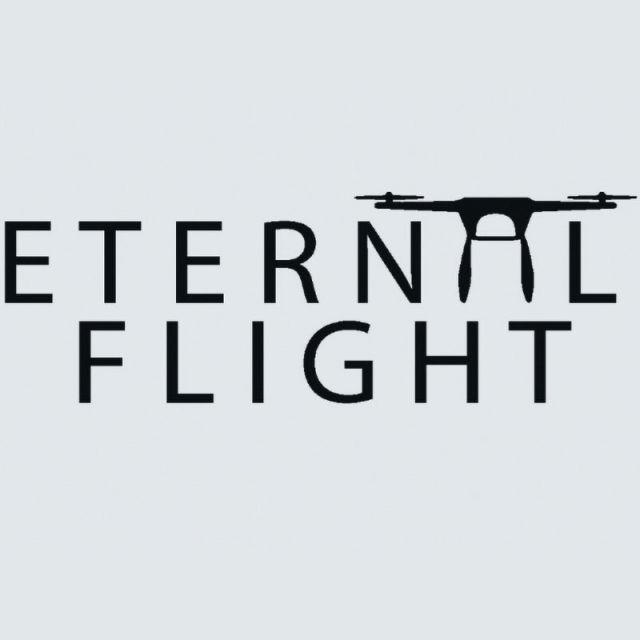 Eternal Flight logo