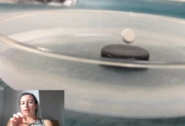 volk on zoom call with research in background