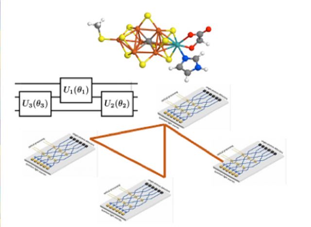image of an interconnected quantum photonics chip